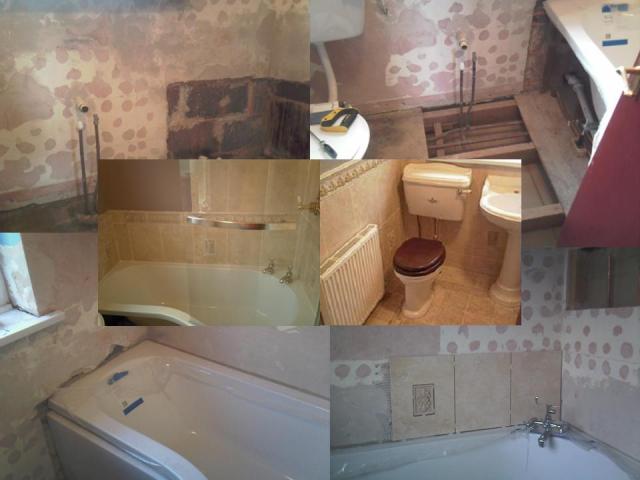 Simkin_collage.JPG